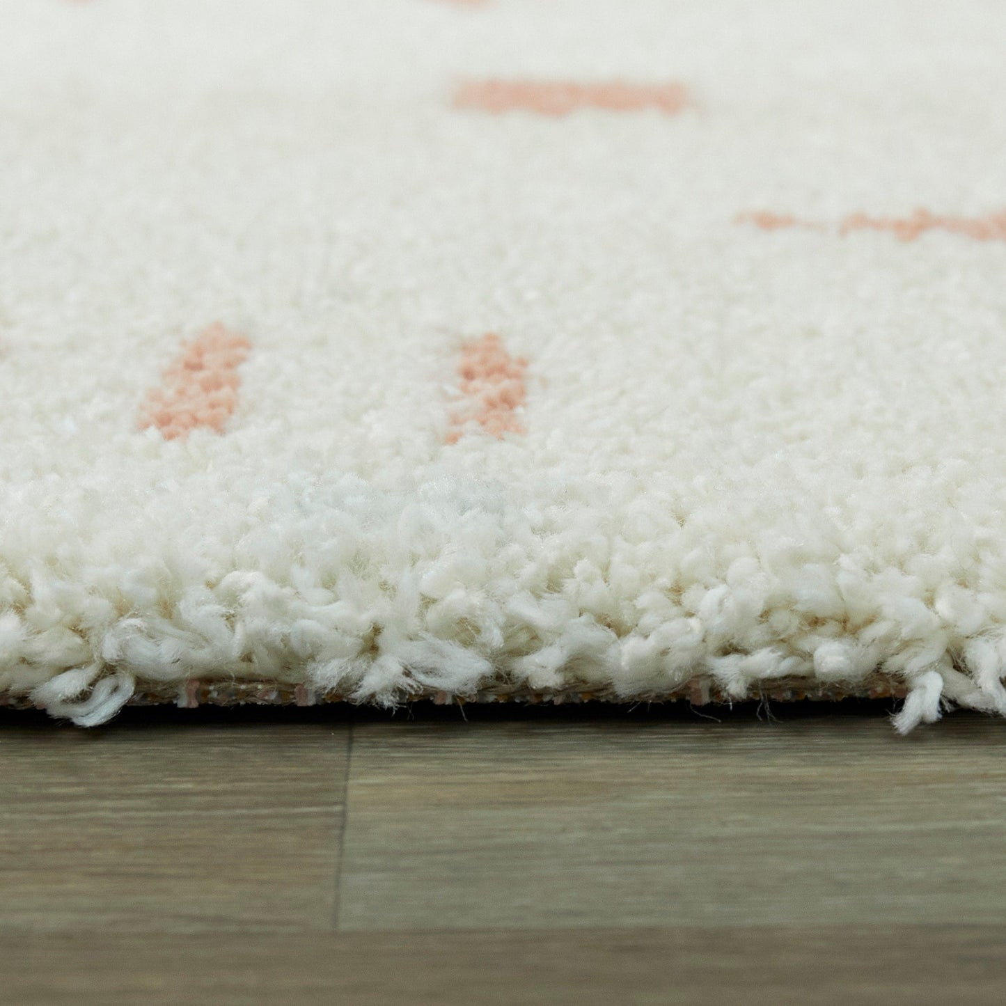 Carson Shag Area Rug