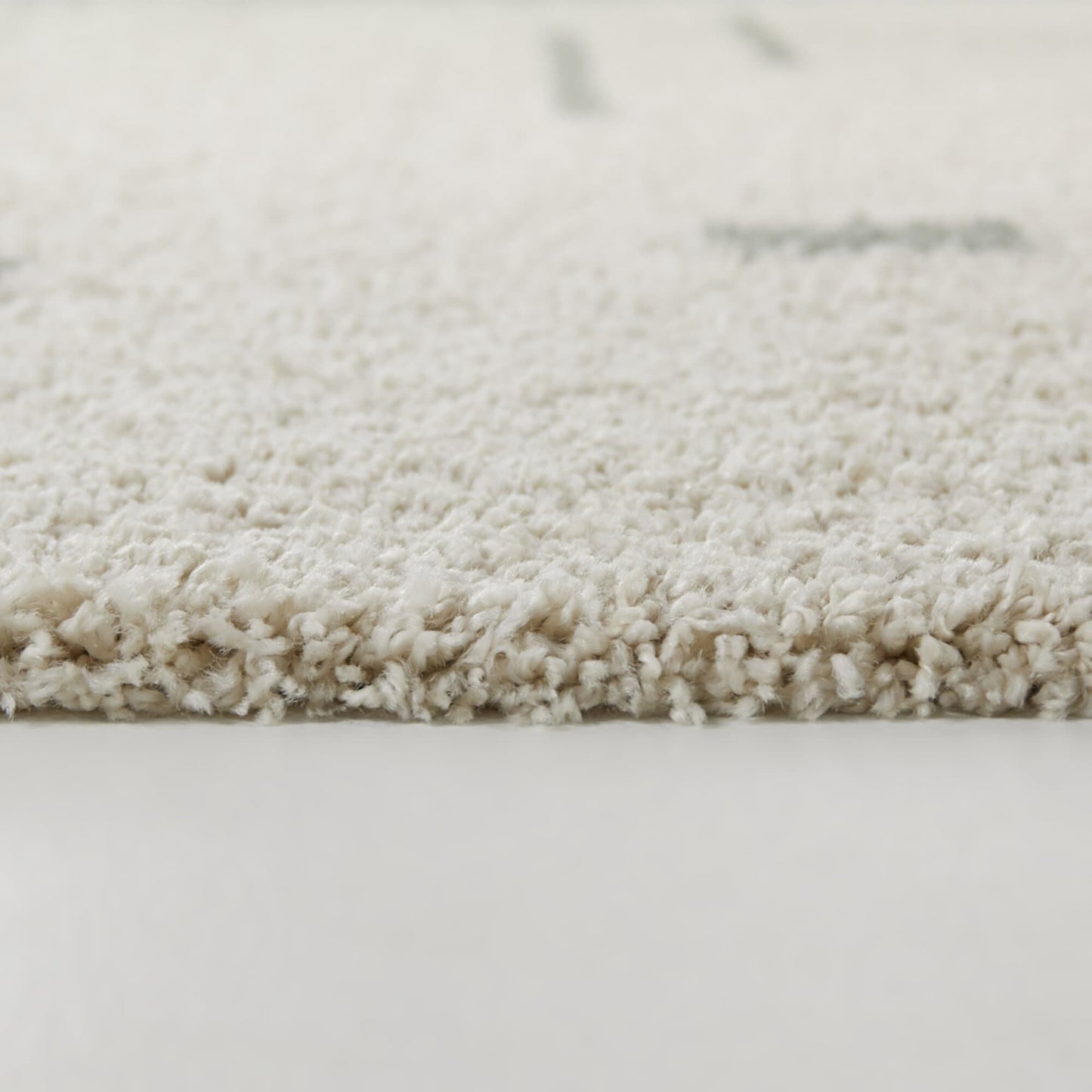 Carson Shag Area Rug