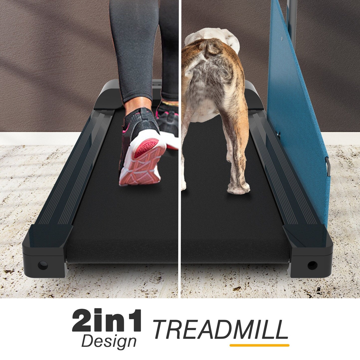 Boutique en ligne de tapis roulants pour chiens avec écran LED
