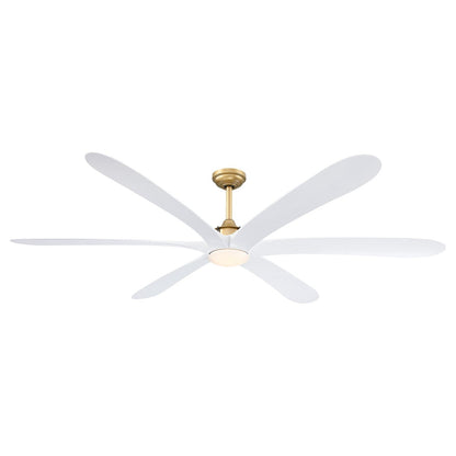 Ventilateur de plafond DC à 6 pales de 183 cm (72 pouces) en bois flotté avec éclairage et télécommande