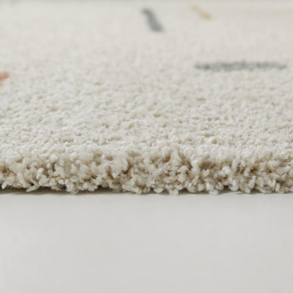 Carson Shag Area Rug