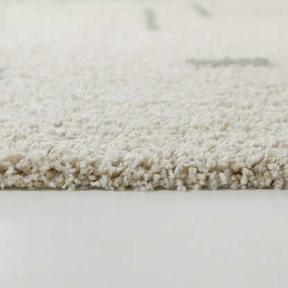 Carson Shag Area Rug