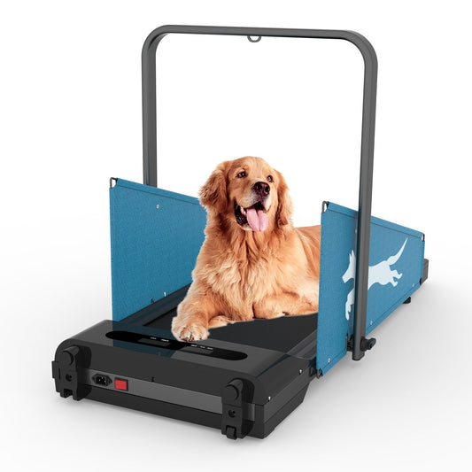 Boutique en ligne de tapis roulants pour chiens avec écran LED